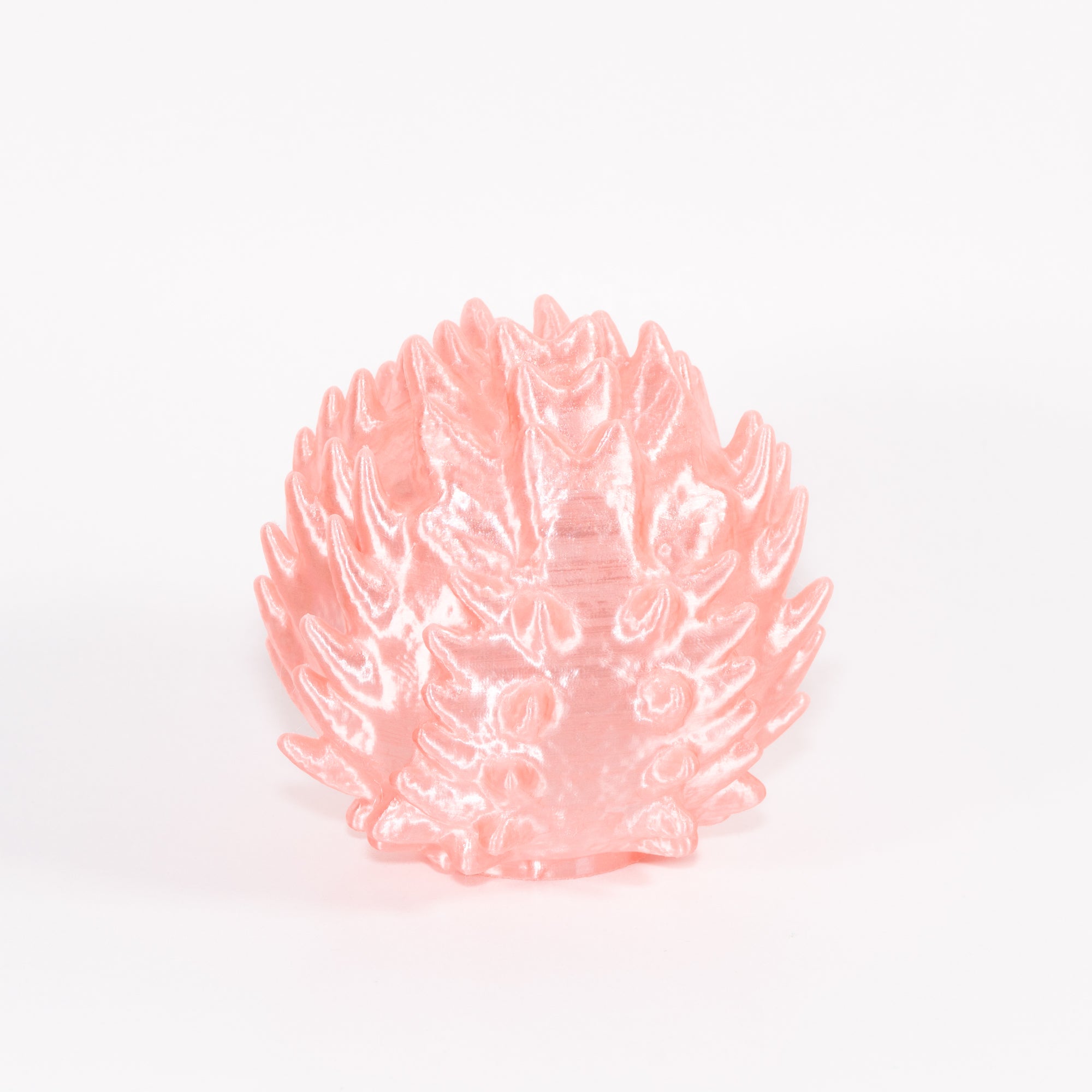 Koral Lamp